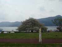 DSC00924.JPG